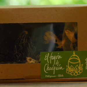 Morchella deshidratada